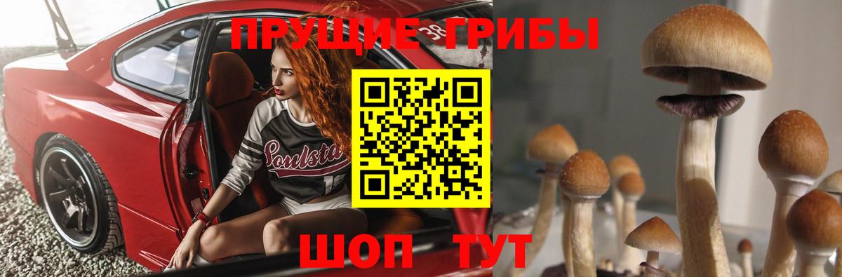 Рассказово  Галлюциногенные грибы Psilocybe  Вход с VPN 